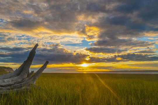 The sun setting over Cook Inlet on a summers night as seen from Earthquake Park near Anchorage; Alaska, United States of America
