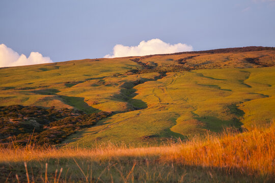 Stream beds on Parker Ranch land, Kohala Mountain; Island of Hawaii, Hawaii, United States of America
