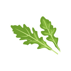 Arugula with vitamin C vector illustration. Cartoon drawing of enriched organic antioxidant, arugula. Food, nutrition, diet concept