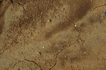 texture of the ground
