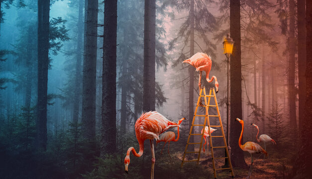A surreal composite image of flamingoes in a forest with a ladder and lamp post