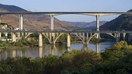 Bridges Over The Douro River