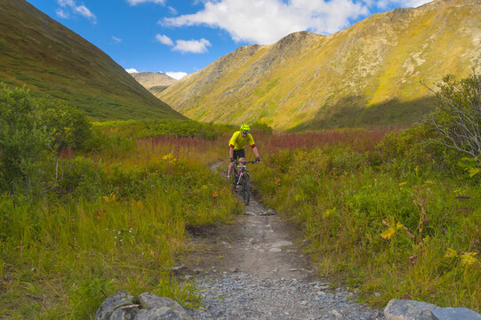 A man riding his mountain bike on the Devil's Pass Trail on a sunny summer day in South-central Alaska; Alaska, United States of America