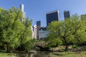 Central Park Skyline