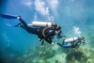 Scuba divers in Roatan Marine Park, Blue Channel dive site; Roatan, Honduras