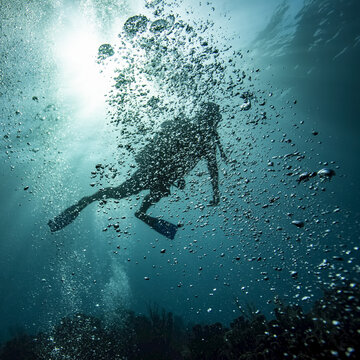 Scuba diver obscured by bubbles underwater at the dive site Blue Channel, Roatan Marine Park; Bay Islands Department, Honduras