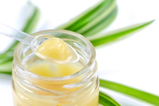 Royal jelly close-up in the spoon