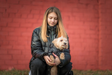 A young beautiful girl holds a dog in her arms.