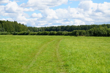 grass and blue sky