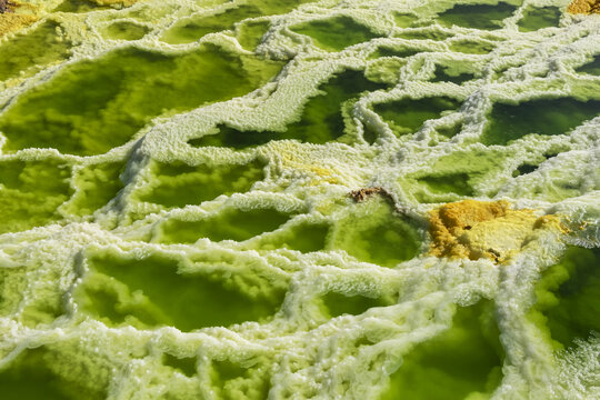 Acidic hot springs and geysers, mineral formations, salt deposits in the crater of Dallol Volcano, Danakil Depression; Afar Region, Ethiopia