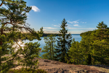 View of the forest and sea. Getabergen, Åland Islands. Finland