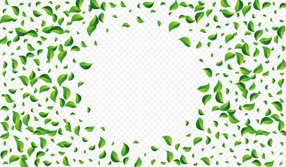Olive Greens Wind Vector Transparent Background.