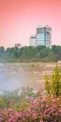 Niagara Falls Summer Travel Landscape Series, a sunset view of Canadian Side Skyline  and purple crown vetch wildflower plants on America Falls bank in New York, USA, tall format