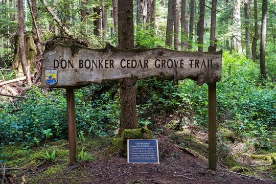 Don Bonker Cedar Grove Trail; Long Island, Washington, United States of America