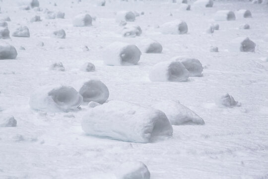 Numerous snow rollers in a field caused by ideal weather conditions and the wind; Shefford, Quebec, Canada