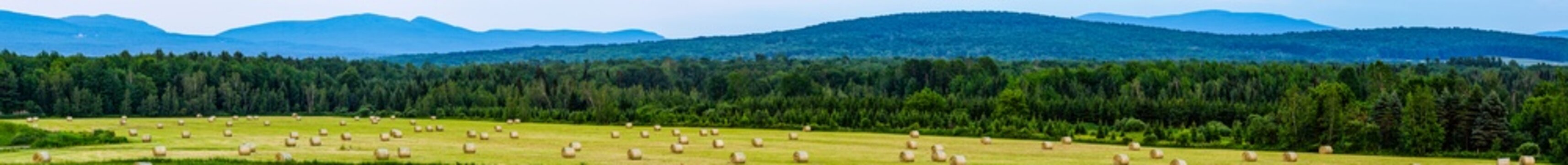 Panorama of round hay bales in a hay field with mountains and forest in the background; Brome Lake, Ville de Lac Brome, Quebec, Canada