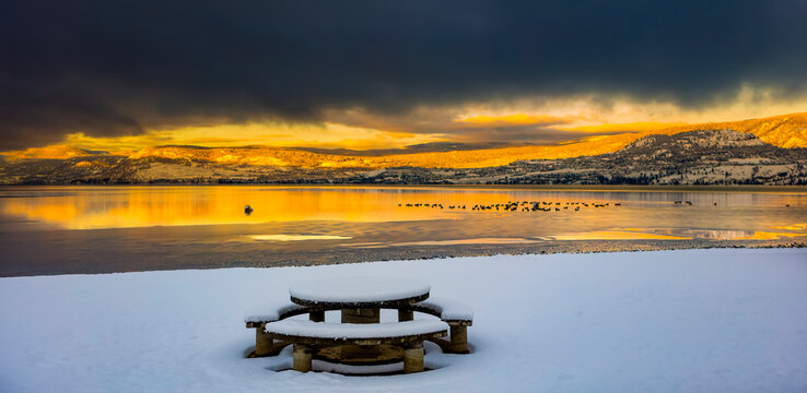 Winter in the Okanagan Valley on the Kelowna beach; Kelowna, British Columbia, Canada