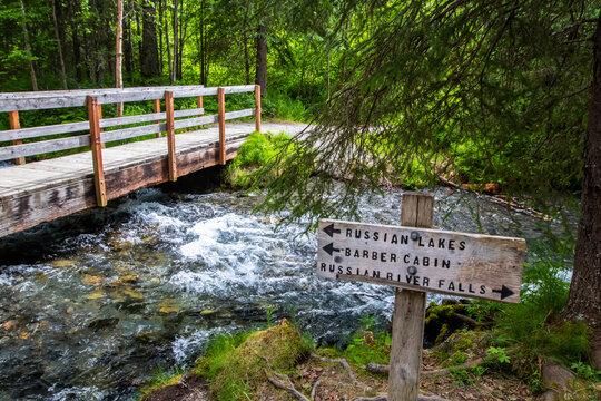Trail marker on the trail to the Russian River Falls on the Kenai Peninsula, South-central Alaska; Alaska, United States of America
