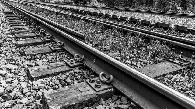 Close-up detail of train tracks along a forest and Moose Lake, Icefield Parkway, Regional District of Fraser-Fort George; British Columbia, Canada