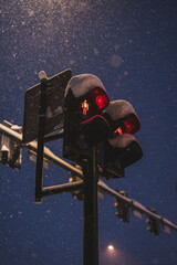 Traffic lights in the snow mood