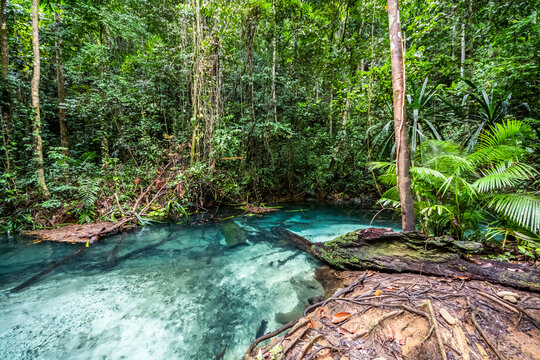 Kali Biru (Blue River); West Papua, Indonesia