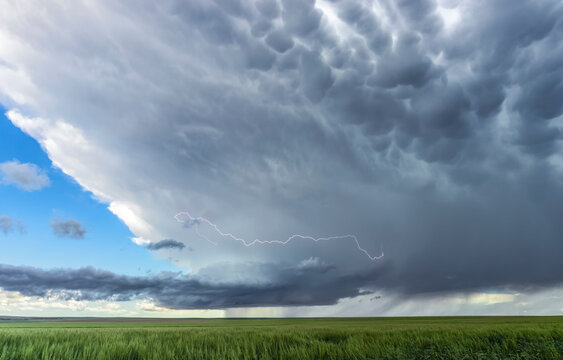 A lightning bolt encircles the updraft of a low precipitation supercell as it drifts across the High Plains; Corado, United States of America