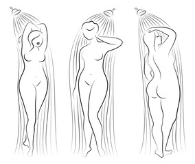 Collection. Silhouette figure of a big woman. The girl washes in the shower. A woman is overweight, she is beautiful and sexy. Vector illustration set.