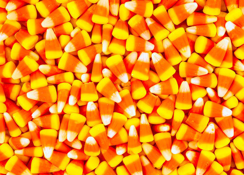 Many pieces of candy corn; Studio