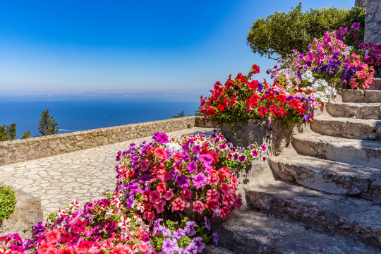 Blossoming flowers in containers lining steps on the Island of Capri with a view of the Tyrrhenian Sea, Mediterranean; Capri, italy