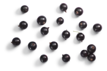 Keuken foto achterwand Blackcurrants Ribes nigrum, top view isolated png © maxsol7