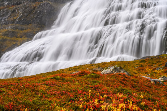 Dynjandi (also known as Fjallfoss) is a series of waterfalls located in the Westfjords, Iceland. The waterfalls have a total height of 100 metres; Isafjardarbaer, Westfjords, Iceland