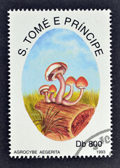 Cancelled postage stamp printed by Sao Tome and Principe, that shows Agrocybe Aegerita mushroom -...