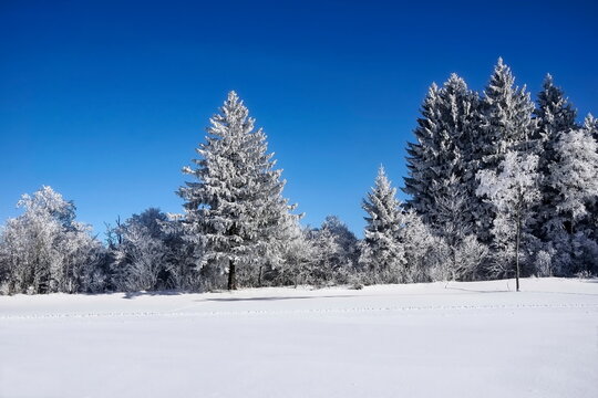 Bäume mit Raureif und Schnee im Winter bei Frost und Kälte in Landschaft und Natur © Andreas P