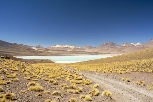 Gravel road leads to a high altitude laguna in the middle of a colourful South American landscape in the Andes, Eduardo Avaroa Andean Fauna National Reserve; Potosi, Sur Lipez, Bolivia