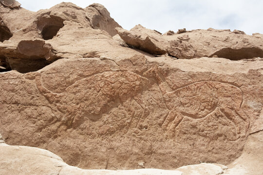 Large and complex petroglyph with two llamas; Atacama,Chile