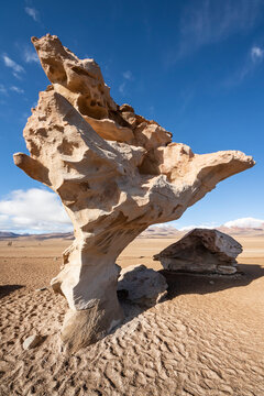 Arbol de Piedra (Stone tree) rock formation; Potosi Department, Bolivia