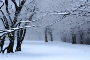 snow covered trees