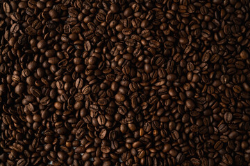 Granos de café tostado