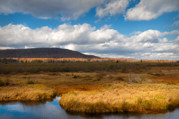 Canaan Valley Fall