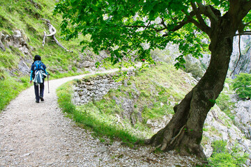 The route of the Cares Canyon, in the Picos de Europa National Park, between Asturias and Leon provinces, Spain