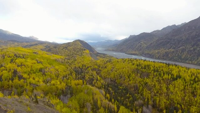 Fall colors of Chugach National Forest near Matanuska River 