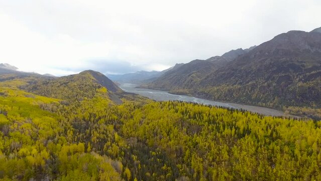 Overcast autumn day in Chugach National Forest, Alaska