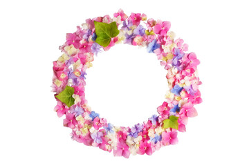 flower arrangement. Wreath of pink on a transparent background, blue, white hydrangea flowers. Flat lay, top view