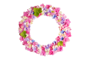 flower arrangement. Wreath of pink on a transparent background, blue, white hydrangea flowers. Flat lay, top view