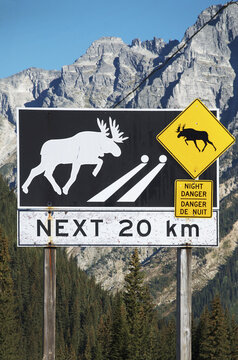 Moose crossing, warning sign, British Columbia interior, B.C., Canada
