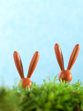 Chocolate Bunnies Hidden Behind Moss