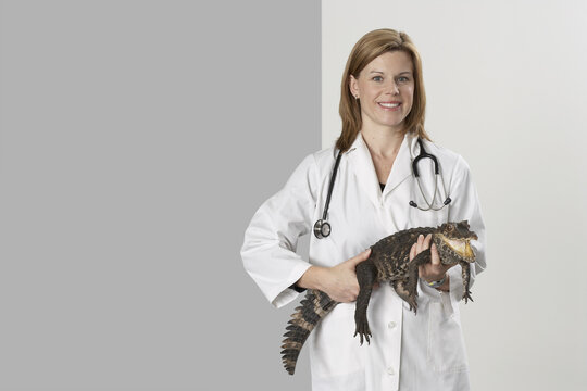 Veterinarian Holding Alligator