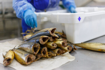 Closeup view of smoked mackerel in factory oven.