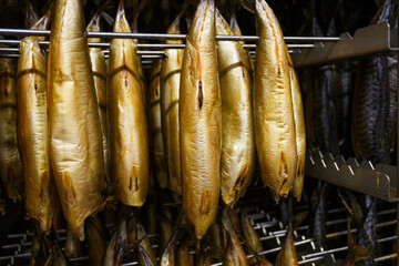 Closeup view of smoked mackerel in factory oven.