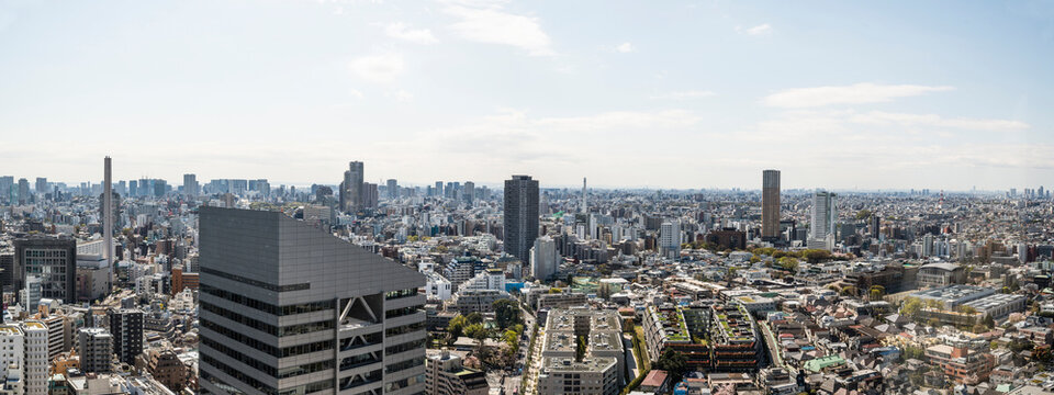 Southern view of Tokyo from Cerulean Tower in Shibuya with Infoss Tower in forground, Tokyo, Japan